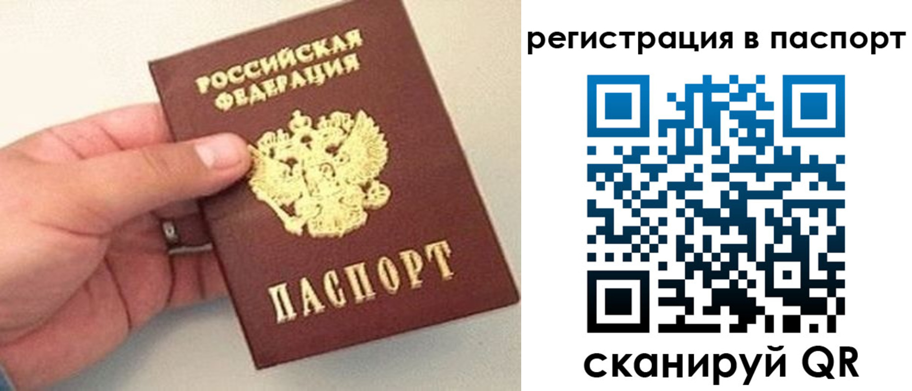 прописка законно в Советске